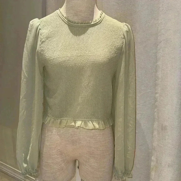 Soft sage green Boutique smocked long sleeve dressy top - Picture 1 of 8
